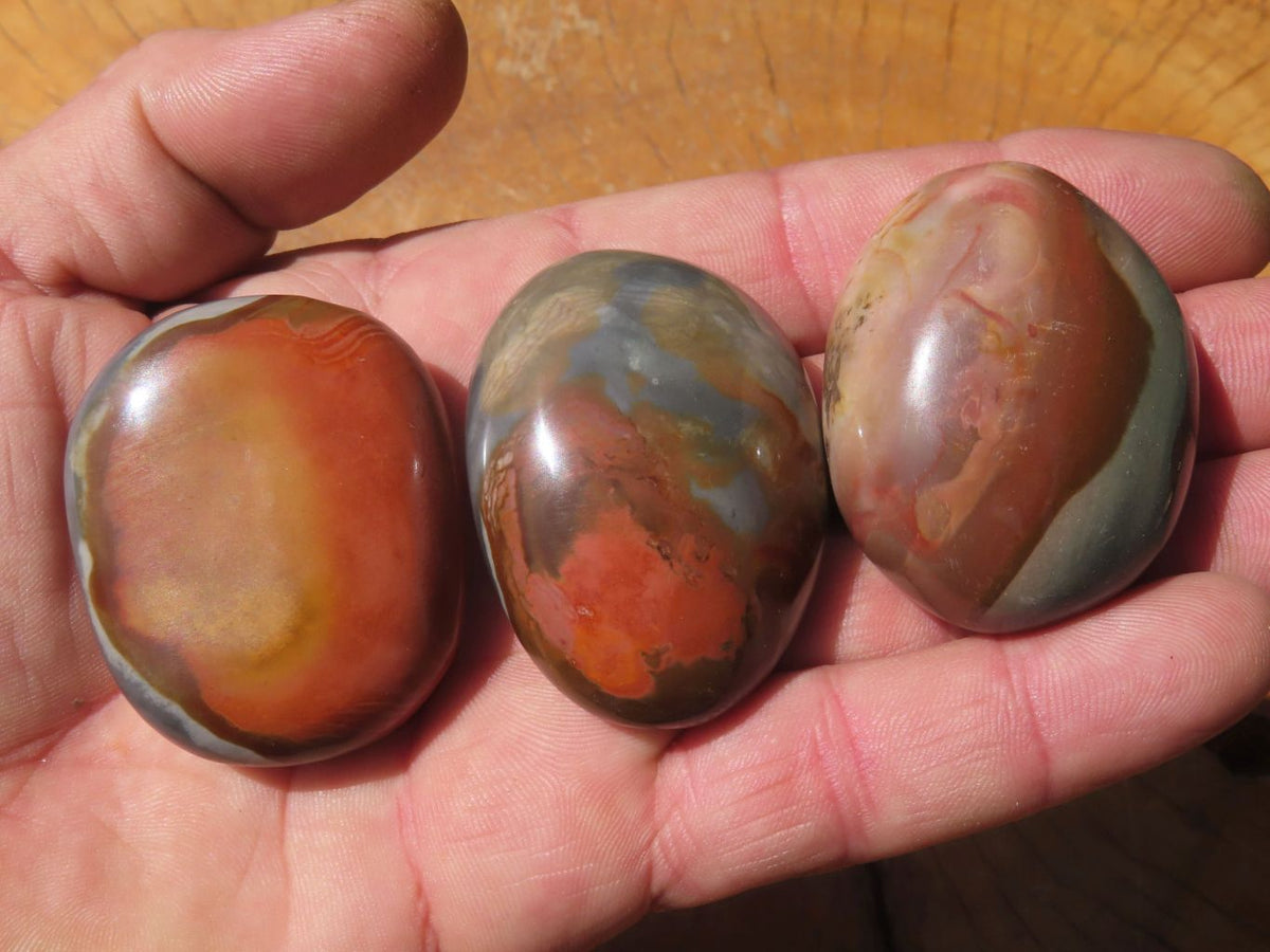 Polished Polychrome Jasper Gallets x 26 From Madagascar - TopRock