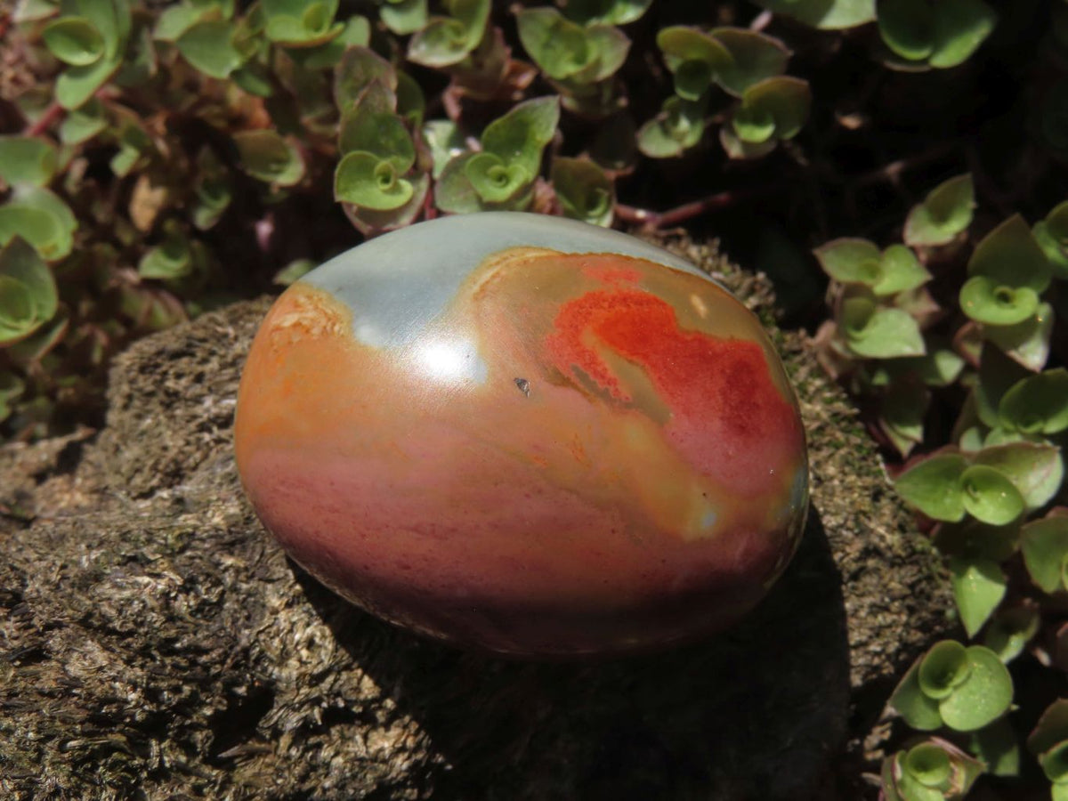 Polished Polychrome Jasper Gallets x 26 From Madagascar - TopRock