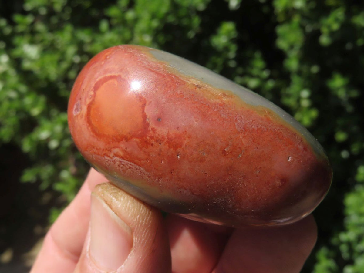 Polished Polychrome Jasper Gallets x 26 From Madagascar - TopRock
