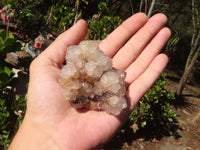 Natural Mixed Spirit Amethyst Quartz Clusters  x 12 From Boekenhouthoek, South Africa - Toprock Gemstones and Minerals
