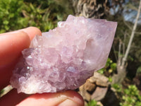 Natural Mixed Spirit Amethyst Quartz Clusters  x 12 From Boekenhouthoek, South Africa - Toprock Gemstones and Minerals