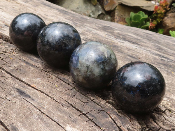 Polished Blue Iolite / Water Sapphire Spheres  x 4 From Madagascar - TopRock