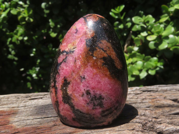 Polished Rhodonite Standing Free Forms x 6 From Ambindavato, Madagascar - TopRock