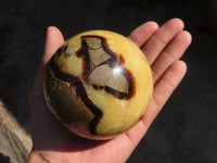 Polished Septaria Spheres x 2 From Mahajanga, Madagascar - Toprock Gemstones and Minerals