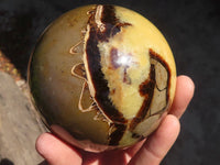 Polished Septaria Spheres x 2 From Mahajanga, Madagascar - Toprock Gemstones and Minerals