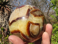 Polished Septaria Spheres x 2 From Mahajanga, Madagascar - Toprock Gemstones and Minerals