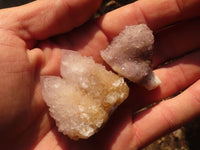 Natural Mixed Spirit Quartz Crystals x 70 From Boekenhouthoek, South Africa - Toprock Gemstones and Minerals