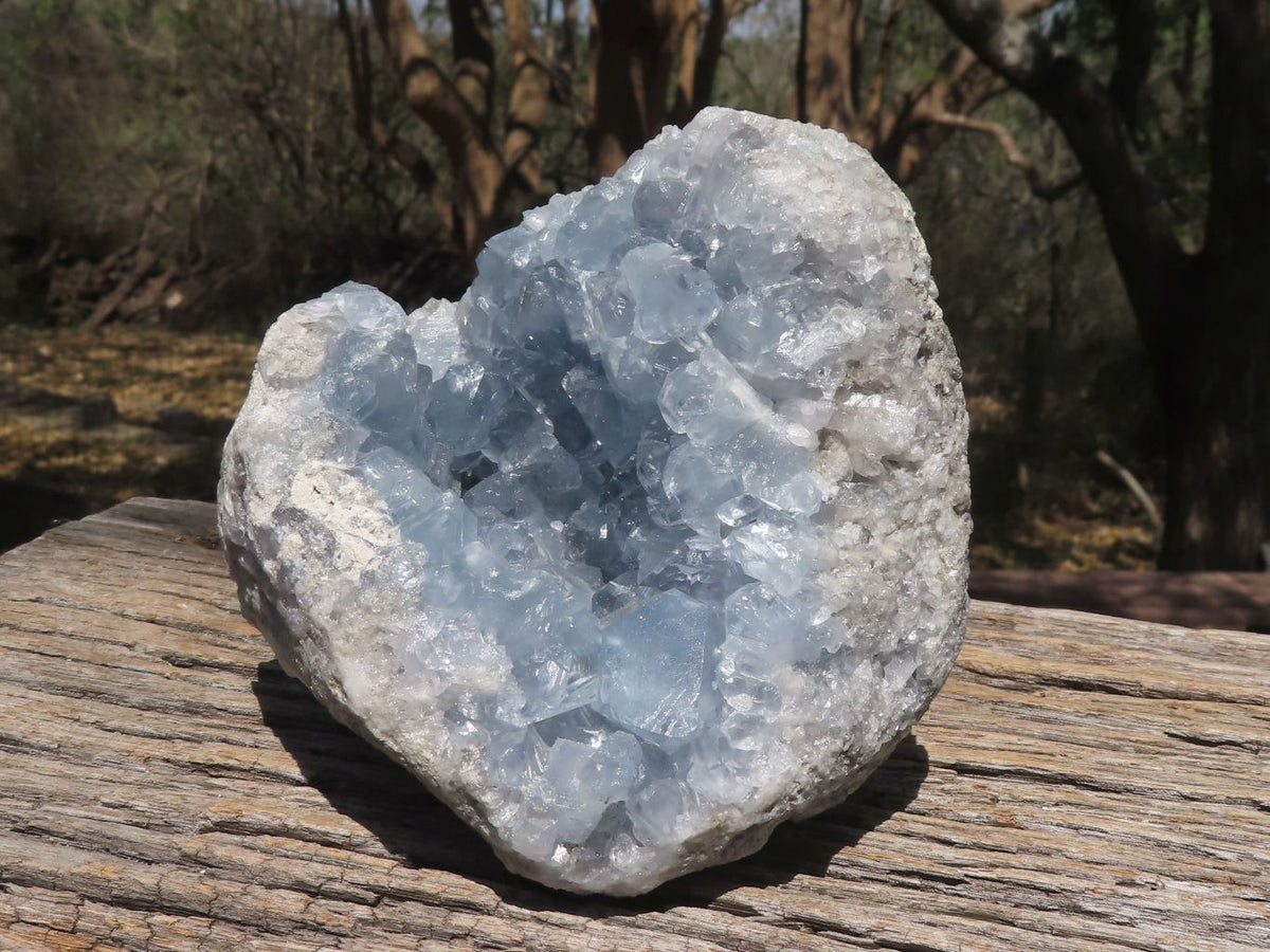 Natural Pale Blue Celestite Geode Specimen x 1 From Sakoany, Madagascar - TopRock