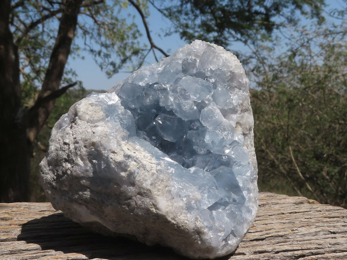 Natural Pale Blue Celestite Geode Specimen x 1 From Sakoany, Madagascar - TopRock