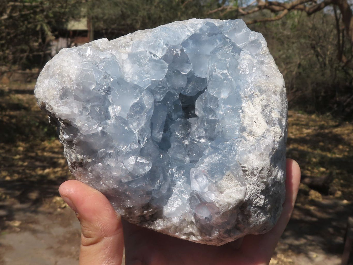 Natural Pale Blue Celestite Geode Specimen x 1 From Sakoany, Madagascar - TopRock