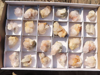 Natural Spirit Cactus Quartz Specimens x 24 From Boekenhouthoek, South Africa - Toprock Gemstones and Minerals