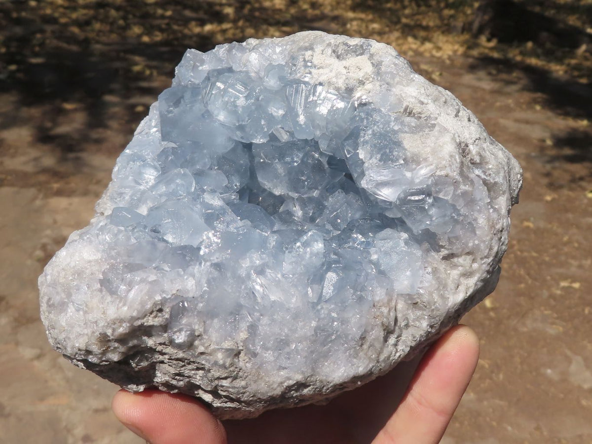 Natural Pale Blue Celestite Geode Specimen x 1 From Sakoany, Madagascar - TopRock