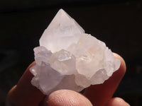 Natural Spirit Cactus Quartz Specimens x 24 From Boekenhouthoek, South Africa - Toprock Gemstones and Minerals