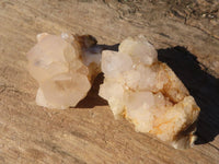 Natural Spirit Cactus Quartz Specimens x 24 From Boekenhouthoek, South Africa - Toprock Gemstones and Minerals