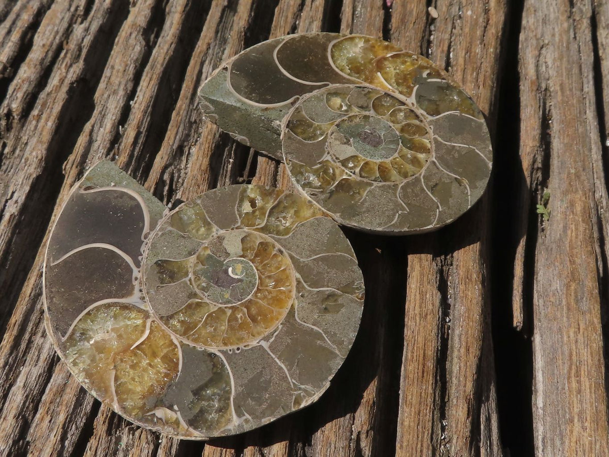 Polished Mixed Selection Of Retail Items x 6 From Southern Africa - TopRock