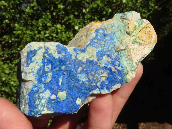 Natural Azurite & Malachite On Dolomite Specimens  x 6 From Kaokoveld, Namibia - Toprock Gemstones and Minerals 