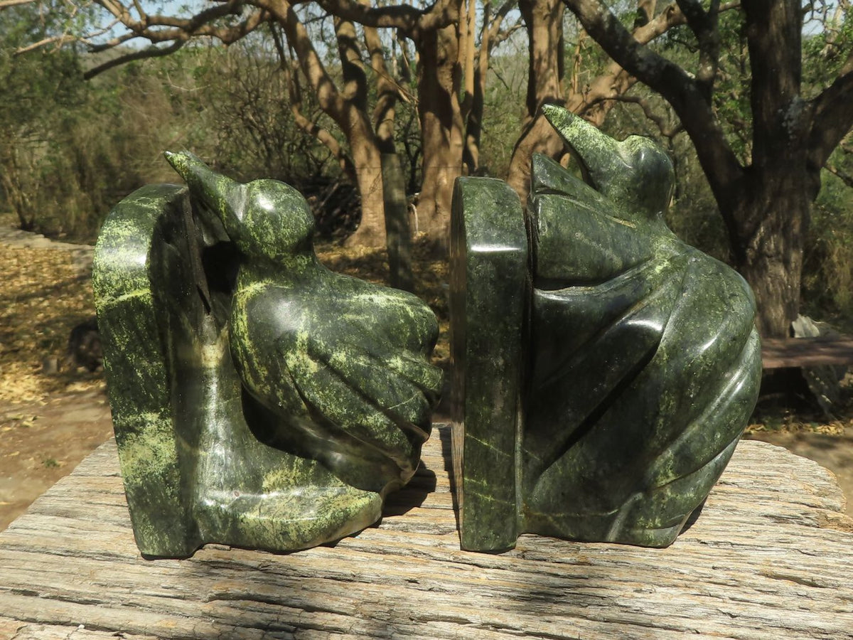 Polished Large Leopard stone Bird Book End Carvings x 2 From Zimbabwe - TopRock