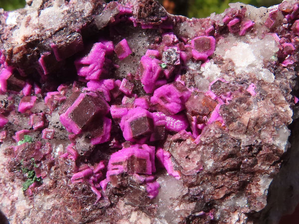 Natural Bright Pink Salrose Cobaltion Dolomite Specimens  x 6 From Kakanda, Congo - Toprock Gemstones and Minerals 