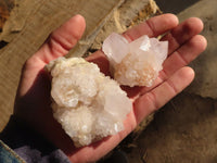 Natural White Cactus Flower Spirit Quartz Specimens x 12 From Boekenhouthoek, South Africa - Toprock Gemstones and Minerals