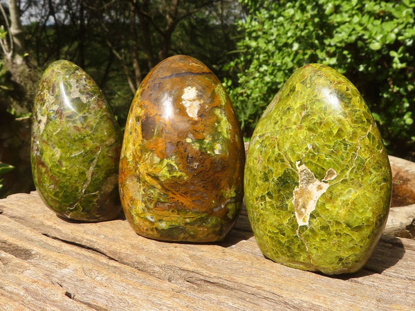 Polished Green Opal Standing Free Forms  x 3 From Madagascar - Toprock Gemstones and Minerals 