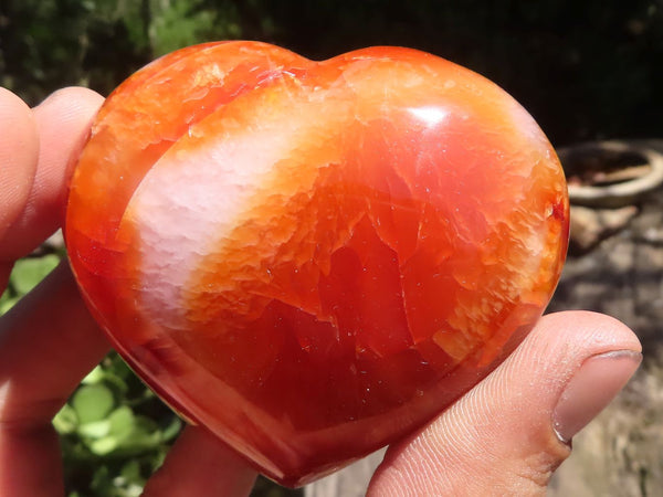 Polished Carnelian Agate Hearts With Nice Banding & Crystalline Features  x 6 From Madagascar - TopRock