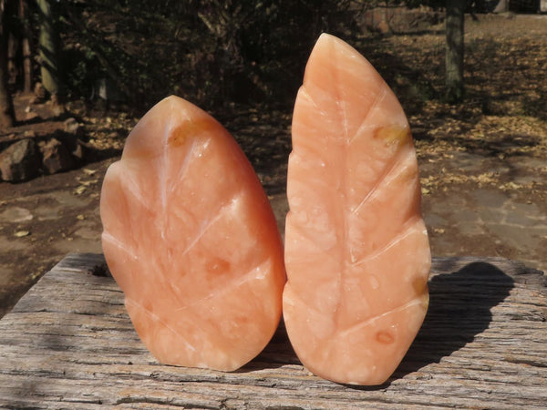 Polished Orange Twist Calcite Standing Leaf Sculptures  x 2 From Madagascar - TopRock