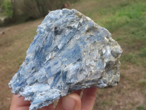 Natural Blue Kyanite Crystals In Schist Specimens (some with Garnet) x 5 From Karoi, Zimbabwe - TopRock