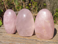 Polished Pink Rose Quartz Standing Free Forms x 6 From Antsirabe, Madagascar - Toprock Gemstones and Minerals