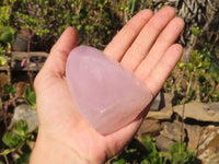 Polished Pink Rose Quartz Standing Free Forms x 6 From Antsirabe, Madagascar - Toprock Gemstones and Minerals
