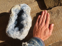Natural Blue Celestite Geode Specimen  x 1 From Sakoany, Madagascar - Toprock Gemstones and Minerals