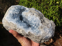 Natural Blue Celestite Geode Specimen  x 1 From Sakoany, Madagascar - Toprock Gemstones and Minerals