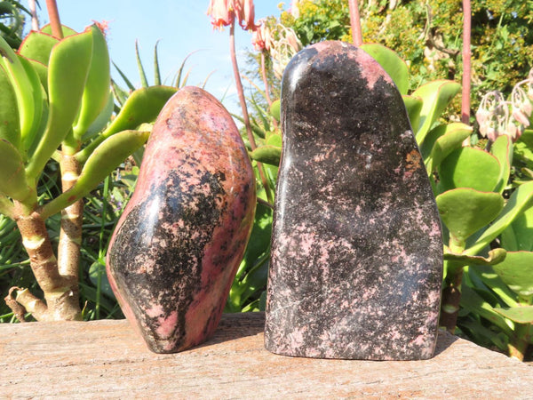 Polished Rhodonite Standing Free Forms x 2 From Ambindavato, Madagascar - TopRock