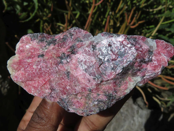 Natural Rhodonite Cobbed Pieces x 12 From Zimbabwe - TopRock