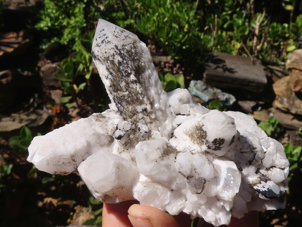 Natural Selected Candle Quartz Clusters  x 6 From Madagascar - Toprock Gemstones and Minerals 