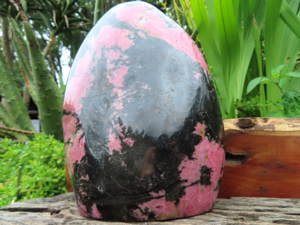Polished Rhodonite Extra Large Standing Free Form x 1 From Madagascar - TopRock