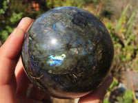 Polished Labradorite Spheres  x 2 From Tulear, Madagascar - Toprock Gemstones and Minerals