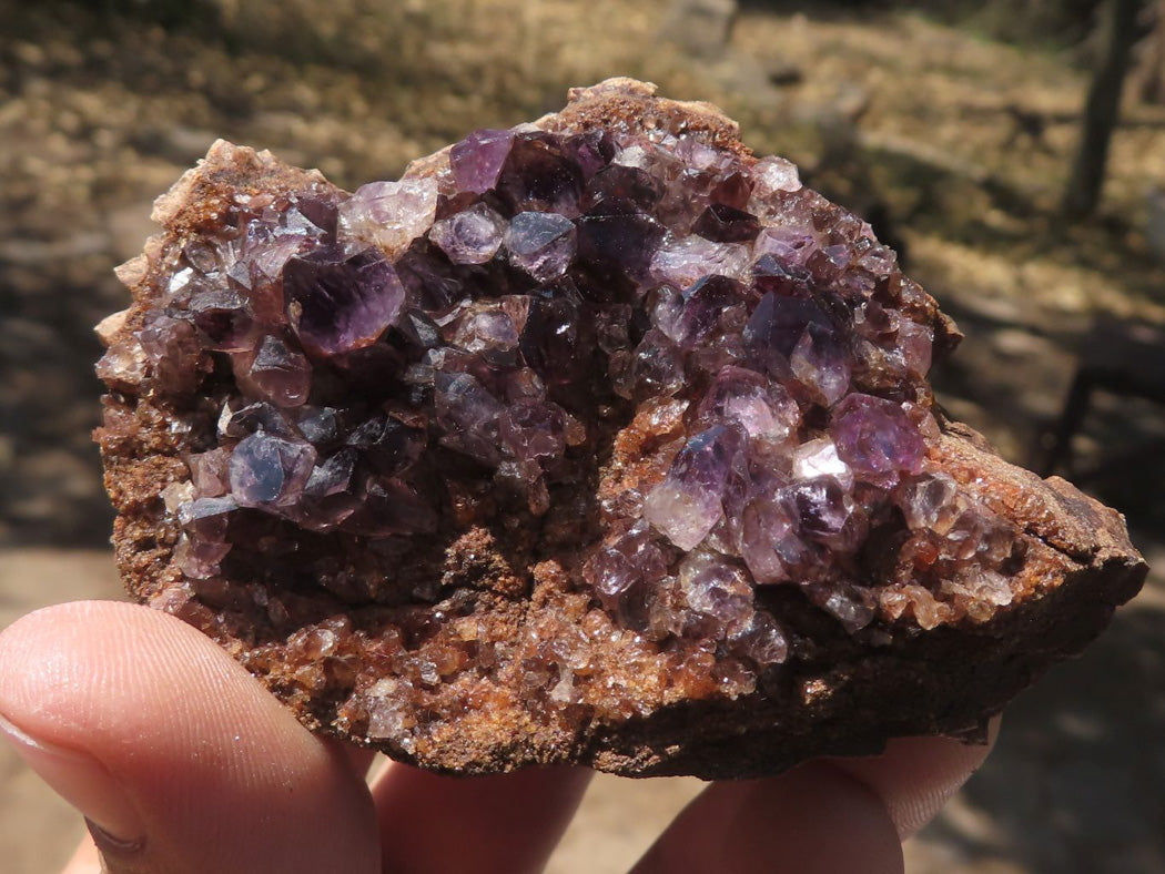 Natural Dark Amethyst Crystal Geodes & Plates x 12 From Zululand, South Africa - TopRock