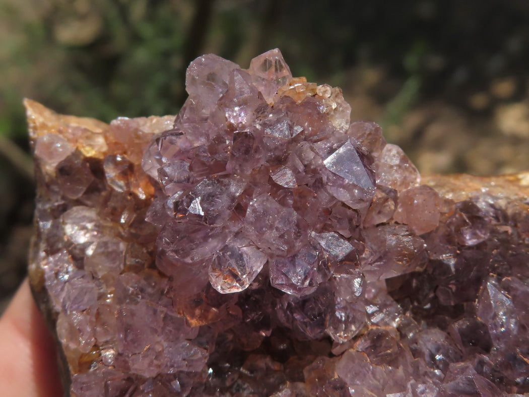 Natural Dark Amethyst Crystal Geodes & Plates x 12 From Zululand, South Africa - TopRock