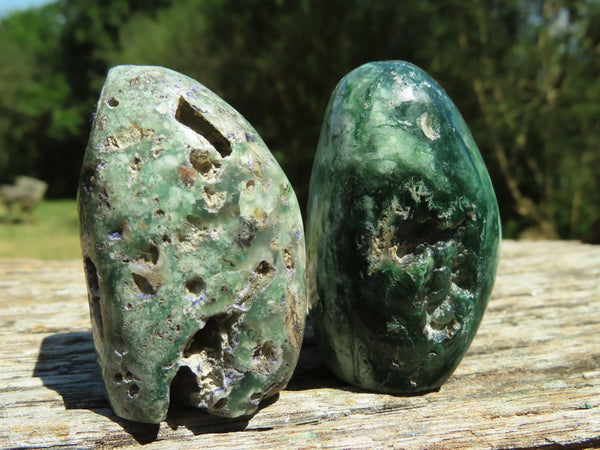 Polished XX Rare Small Mtorolite Free Forms  x 16 From Zimbabwe - TopRock