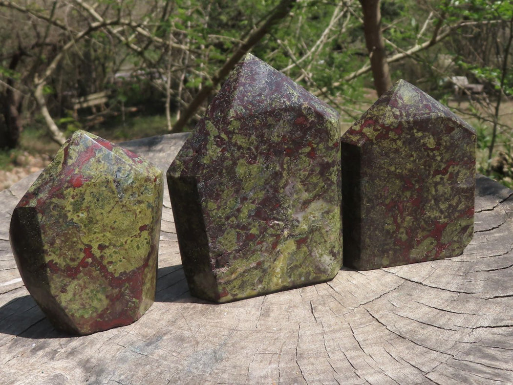 Polished Dragon Bloodstone Bastite Points x 3 From Southern Africa - TopRock