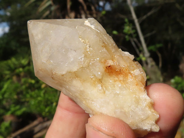 Natural Pineapple Candle Quartz Crystals  x 20 From Madagascar - Toprock Gemstones and Minerals 