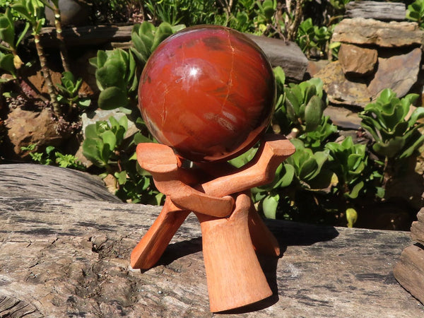 Polished Petrified Red Podocarpus Wood Sphere With Rosewood Stand x 1 From Madagascar - Toprock Gemstones and Minerals 