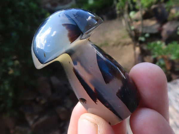 Polished Highly Selected Agate Mushroom Carvings  x 12 From Madagascar - Toprock Gemstones and Minerals 