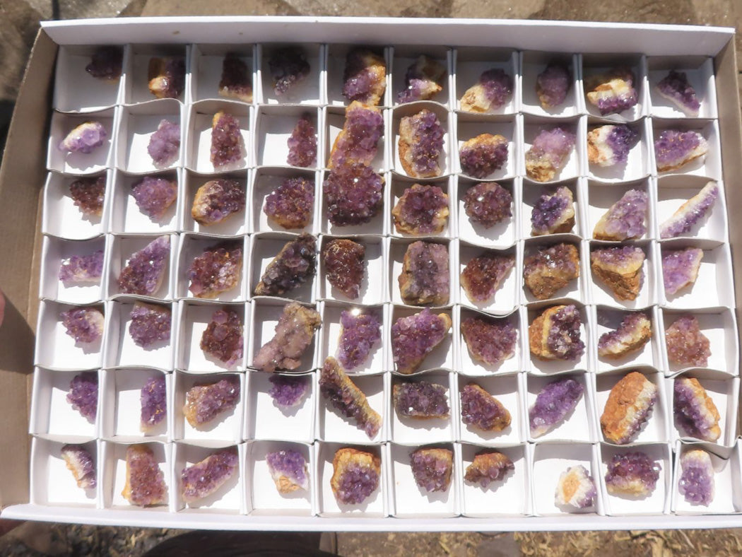 Natural Small Dark "Amethystos" Amethyst Clusters x 70 From Kwaggafontein, South Africa - TopRock