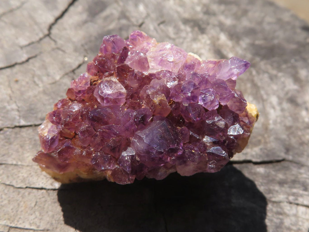 Natural Small Dark "Amethystos" Amethyst Clusters x 70 From Kwaggafontein, South Africa - TopRock