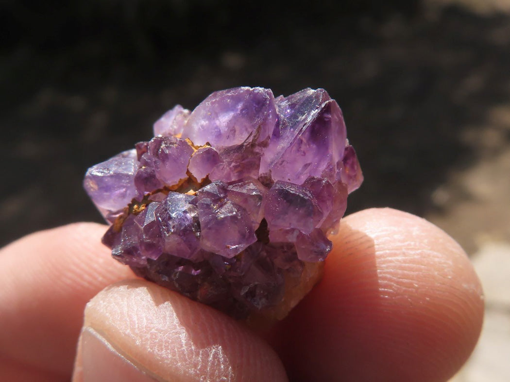 Natural Small Dark "Amethystos" Amethyst Clusters x 70 From Kwaggafontein, South Africa - TopRock