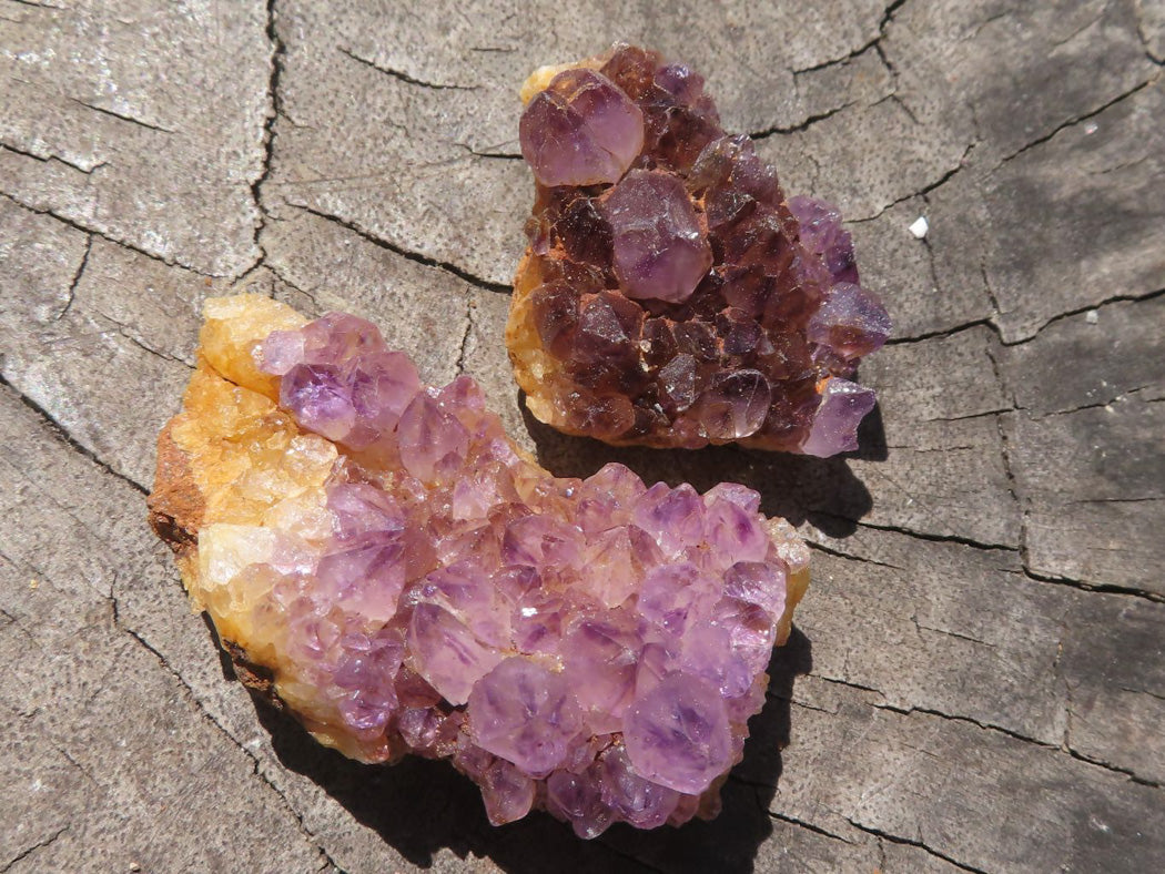 Natural Small Dark "Amethystos" Amethyst Clusters x 70 From Kwaggafontein, South Africa - TopRock
