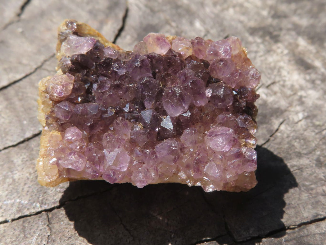 Natural Small Dark "Amethystos" Amethyst Clusters x 70 From Kwaggafontein, South Africa - TopRock