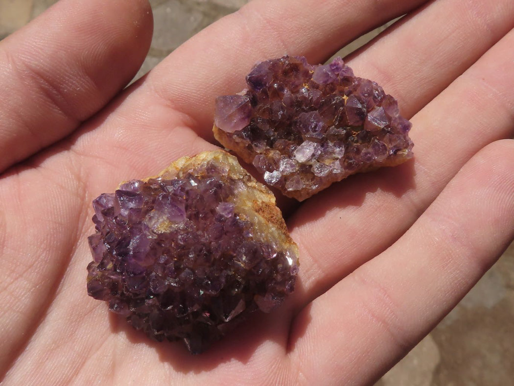 Natural Small Dark "Amethystos" Amethyst Clusters x 70 From Kwaggafontein, South Africa - TopRock