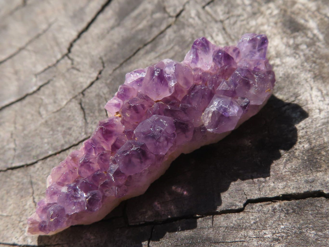 Natural Small Dark "Amethystos" Amethyst Clusters x 70 From Kwaggafontein, South Africa - TopRock